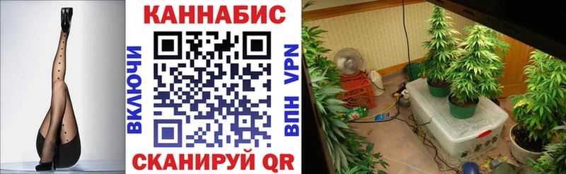 Купить наркотики Кингисепп Cocaine Амфетамин A PVP Канабис ГАШИШ Меф