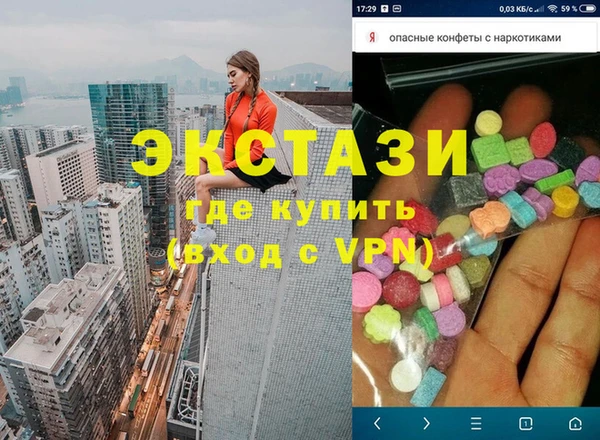 индика Алексин