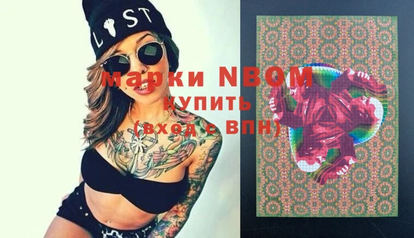 хмурый Алзамай