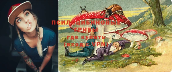 индика Алексин