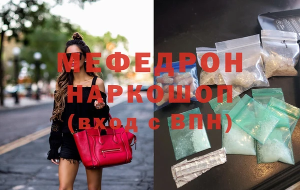 индика Алексин