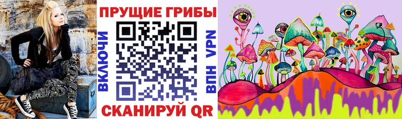 Галлюциногенные грибы мицелий  цена   Кингисепп 